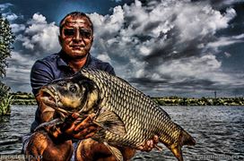 Meet Carp Romanian Awards - 2012